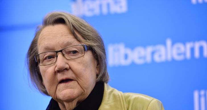 Marit Paulsen, Sverigedemokraterna, Liberalerna, Debatt, EU